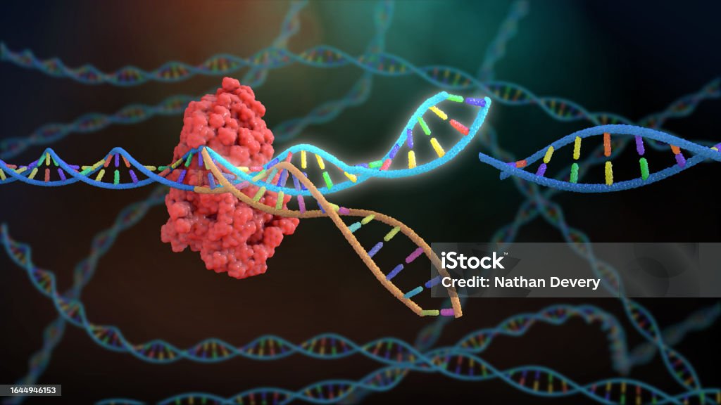 CRISPR and Gene Editing